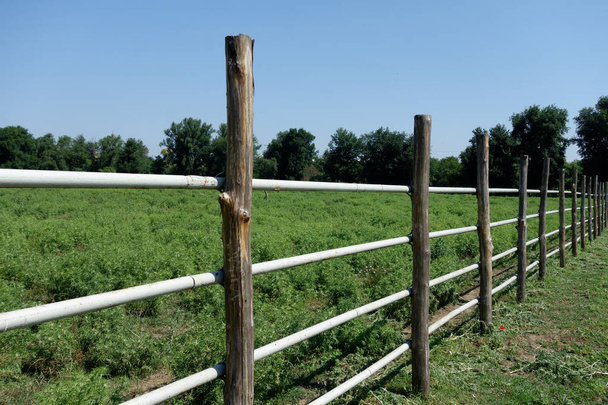 clôture dans la prairie - Photo, image