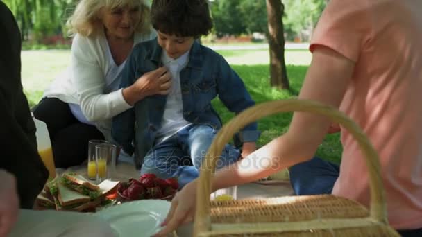 Ystävällinen familing ottaa piknik puistossa
 - Materiaali, video