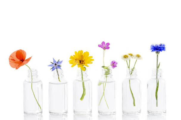 herbal medicine flowers in bottles for herbal medicine on white - Φωτογραφία, εικόνα