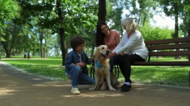 Pozitív családi pihenés a parkban, a kutya - Felvétel, videó