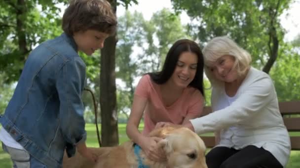 Positieve familie rust in het park - Video