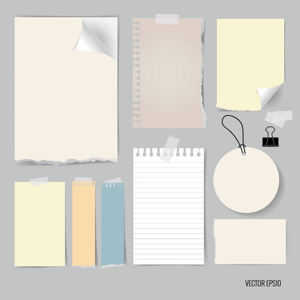Blank catalog, magazines,book mock up and white note papers. Vec - Vektor, obrázek