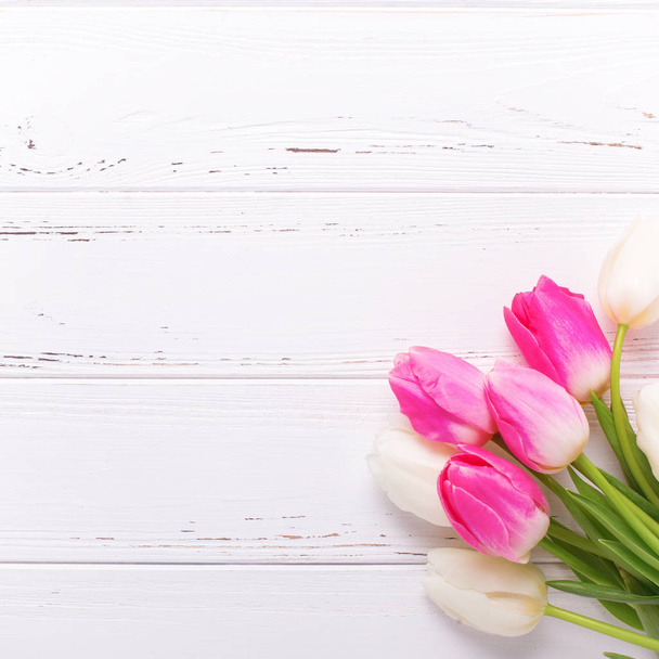 Pink and white tulips flowers  - Fotoğraf, Görsel