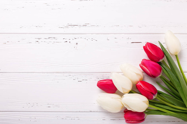 pink  and white tulips flowers - 写真・画像