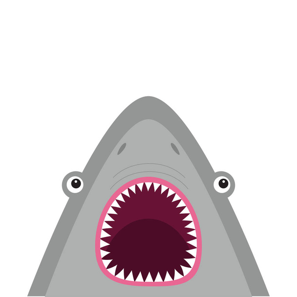 shark head with open mouth and teeth - Vektör, Görsel