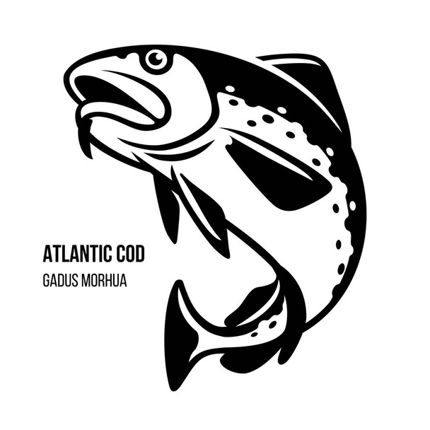 Atlantik Morina balığı vektör çizim - Vektör, Görsel