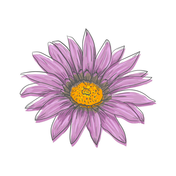 Gerbera papatya çiçek çizilmiş vektör kalem ve mürekkep çizim el - Vektör, Görsel