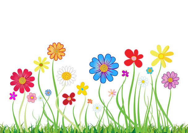 Beautiful flowers drawn on white background - Vector, afbeelding