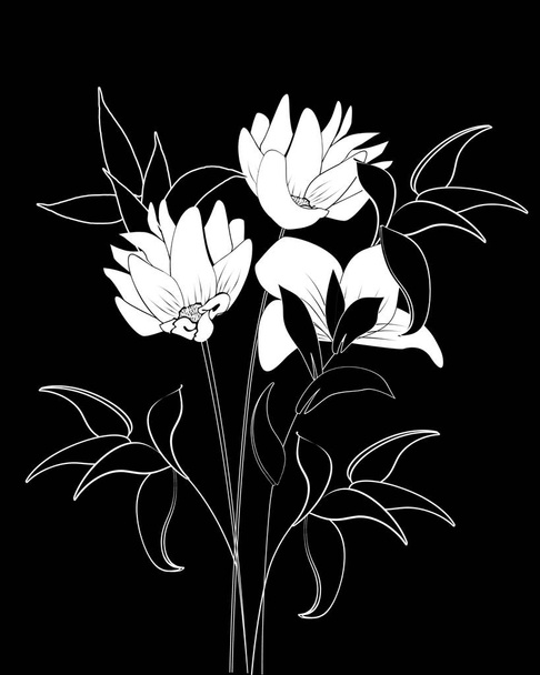 Black background with white flowers - Vektor, Bild