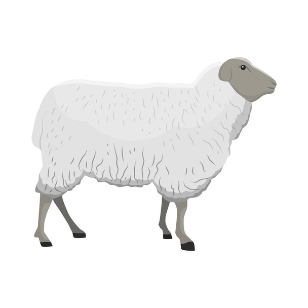 vector ilustración de una oveja - Vector, imagen