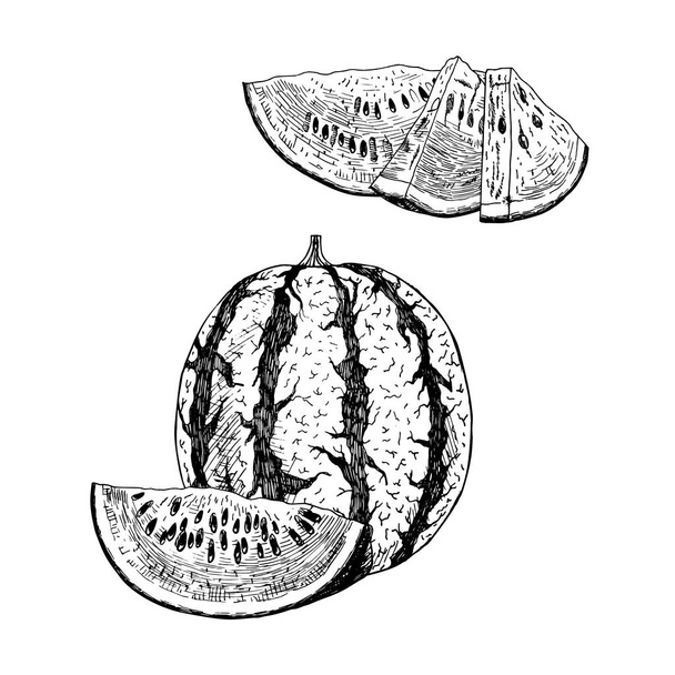 Hand drawn set of watermelon. Vector sketch - Διάνυσμα, εικόνα