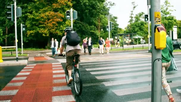WARSAW, POLAND - JULY 11, 2017. Pedestrians and cyclists cross the city street at crosswalk - Felvétel, videó