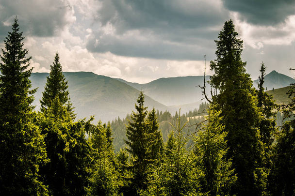 Ένα πανέμορφο ορεινό τοπίο στα Καρπάθια Όρη - Φωτογραφία, εικόνα