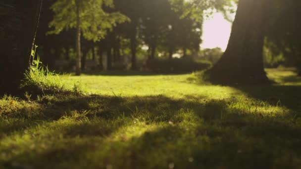 Zwei Mädchen flüchten im Sonnenlicht in Park - Filmmaterial, Video