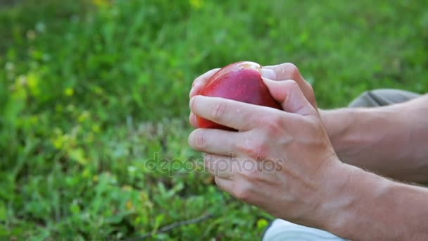 Männerhände teilen reifen roten Apfel - Filmmaterial, Video