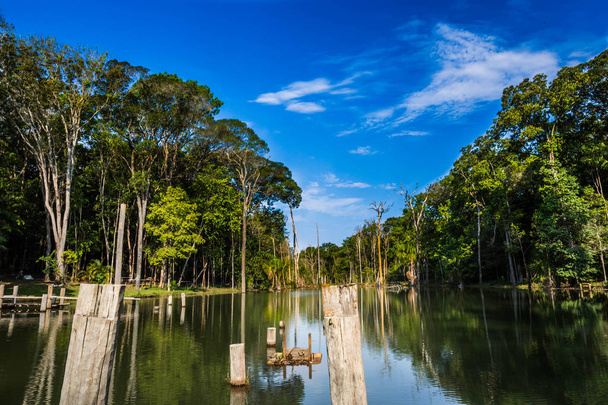 Δάσος με μπλε πανέμορφο ουρανό και λίμνη αντανακλάται στη φύση - Φωτογραφία, εικόνα
