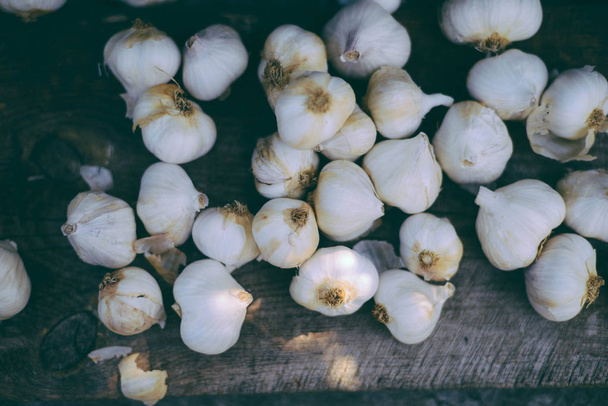 Garlic. Garlic Cloves and Garlic Bulb - Foto, Imagem