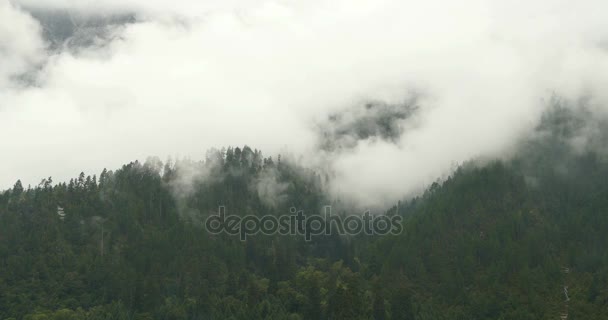 4 k ανατέλλει το πρωί, βουνό timelapse ομίχλη ομίχλη δέντρα, Bomi County, Θιβέτ. - Πλάνα, βίντεο