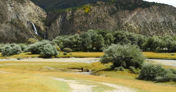 4k Wasserfall, der im Tal fließt, Busch auf der Nahrung des Berges in Tibet. - Filmmaterial, Video