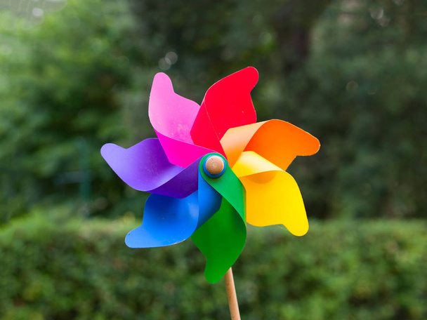 colorful pinwheel in a garden trees blurred in background - Photo, Image