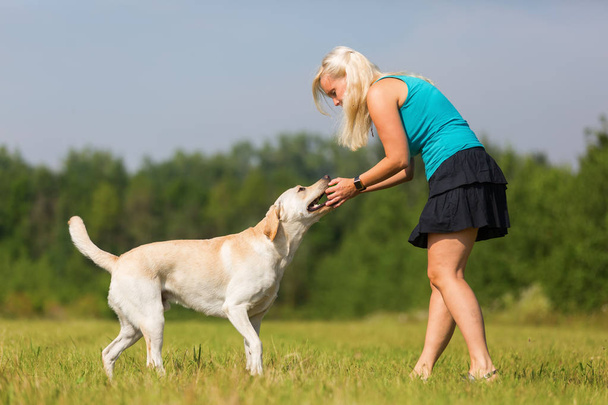 mature woman plays with a labrador outdoors - Photo, Image