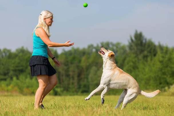 rijpe vrouw speelt met een labrador buitenshuis - Foto, afbeelding