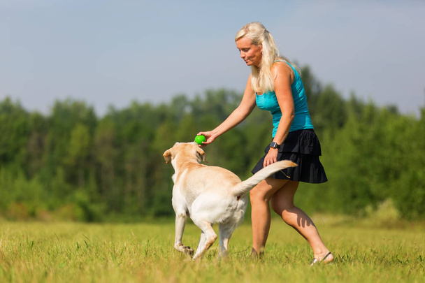 mature woman plays with a labrador outdoors - Fotoğraf, Görsel