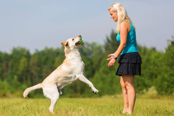 mature woman plays with a labrador outdoors - Foto, Imagem