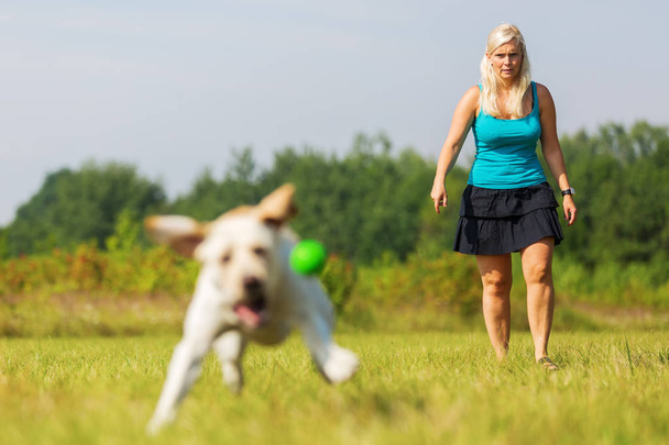 mature woman plays with a labrador outdoors - Foto, Imagen