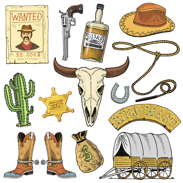 Wild west, rodeo show, cowboy vagy a lasszó indiánok. kalap és a pisztoly, kaktusz, sheriff star és a bölény, csomagtartó-val a Patkó és a wanted poszter. kézzel rajzolt vázlat régi vésett vagy és vintage stílusú. - Vektor, kép