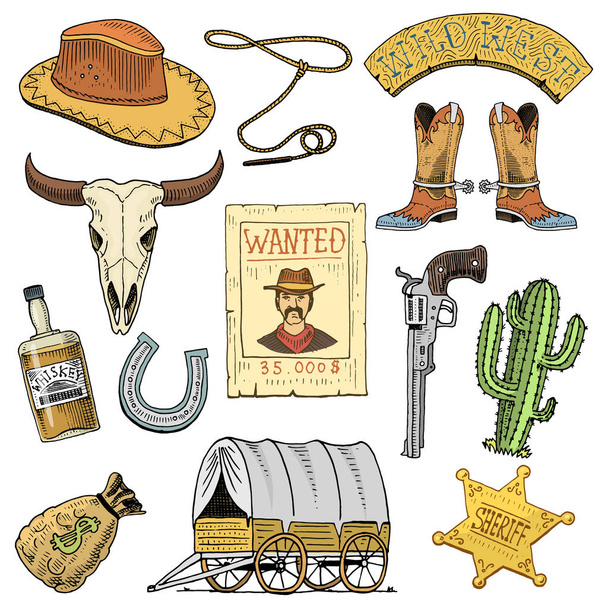 Villi länsi, rodeo show, cowboy tai intiaanit lassoineen. Hattu ja ase, kaktus sheriffi tähti ja biisoni, saappaat hevosenkengällä ja etsintäkuulutus. kaiverrettu käsin piirretty vanha luonnos tai ja vintage tyyli
. - Vektori, kuva