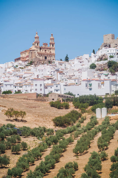 Olvera Andalusiassa
 - Valokuva, kuva