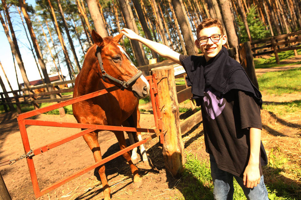 caballo con adolescente en verano caballo parque
 - Foto, Imagen
