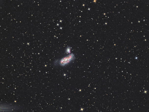 銀河 Ngc 4490 - 写真・画像