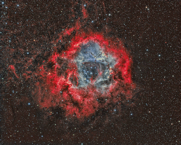 ロゼット星雲撮像望遠鏡と科学的な Ccd カメラ - 写真・画像