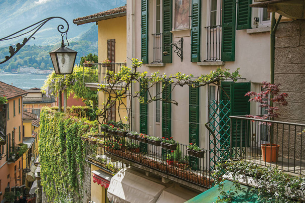 Uitzicht op het Comomeer, balkons met open jaloezieën en bindweed in Bellagio - Foto, afbeelding