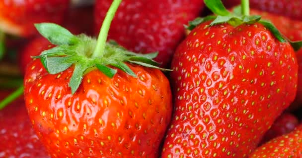 4k Rotation von köstlichen Erdbeeren. - Filmmaterial, Video