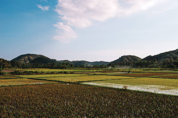 picturesque view of rice fields and mountains, Indonesia - Фото, изображение