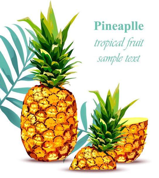 Pineapple fruit Tropical style card. Vector illustration - Vector, Image