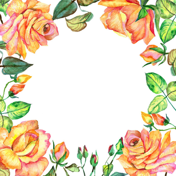 Wildflower rose flower frame in a watercolor style. - Photo, Image