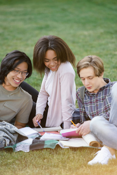 Happy group of multiethnic students studying outdoors - 写真・画像
