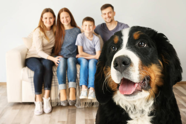 Dog and happy family on background - Photo, Image