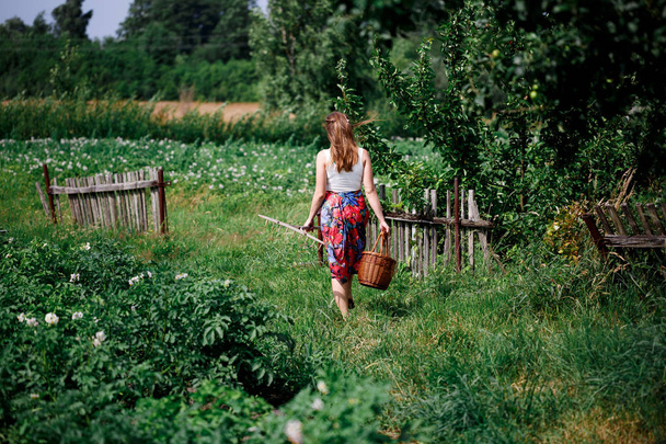Tyttö kirkkaassa hameessa ja paju kori kävelee vihreällä kentällä
 - Valokuva, kuva