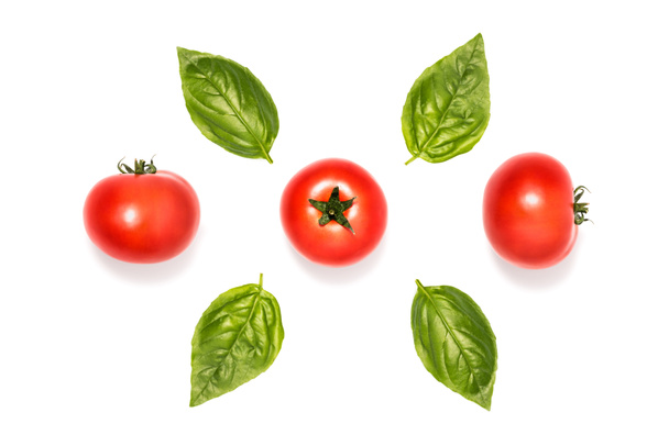 composition of tomatoes with basil leaves - Valokuva, kuva