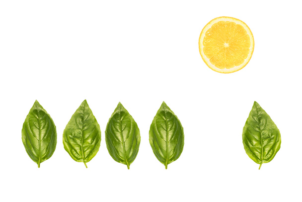 basil leaves and lemon slice - Фото, изображение