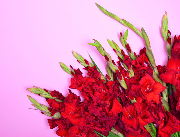 赤いグラジオラスの花束  - 写真・画像