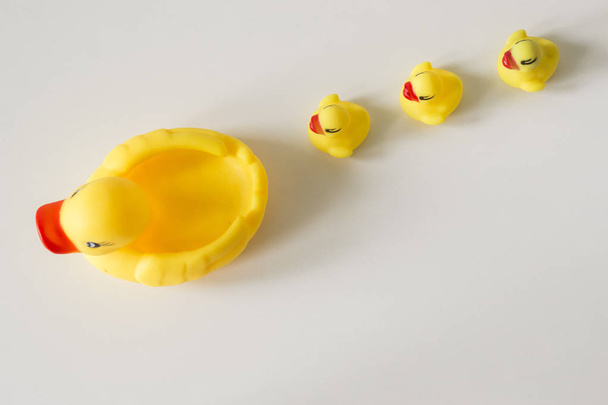 Bath toy row of yellow ducks on white background - Foto, Bild