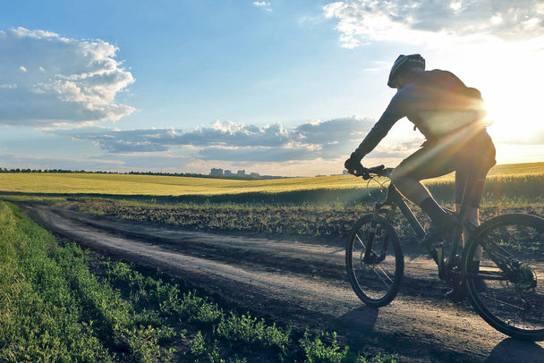 ciclista en bicicleta paseos por los campos de trigo a la luz del sol - Foto, imagen