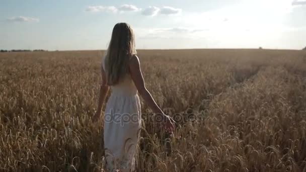 Ευτυχισμένη γυναίκα το περπάτημα σε πεδίο χρυσό σιτάρι - Πλάνα, βίντεο