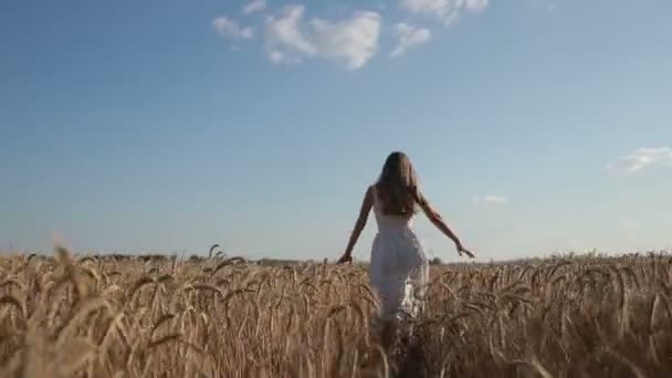 Donna in abito bianco che corre attraverso il campo di grano
 - Filmati, video
